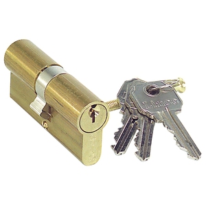 Cilindro Lince Europerfil in Ottone 0100/60 mm. - Product Image 1