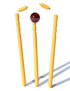 Top Quality Wholesale Light Weight <b>Plastic</b> <b>Cricket</b> Stumps <b>Set</b> for Seniors & Juniors - Product Image 5