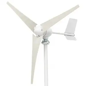 工厂销售800w 24v风力发电机，带3/5/6叶片和免费Mppt控制器家用小型风力发电机