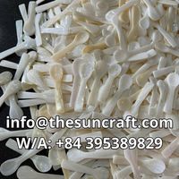 Ensemble de 6 cuillères à caviar de luxe en nacre, cuillère en coquille de mer pour restaurant, café, boutique, vente directe d'usine au Vietnam à prix avantageux