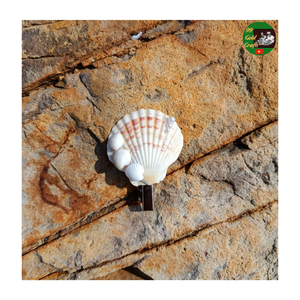 Pince à cheveux coquillage pour la plage d'été, pince à cheveux en coquille de palourde faite à la main, accessoire de cheveux pince à cheveux en coquille d'escargot pour femmes filles - Product Image 5