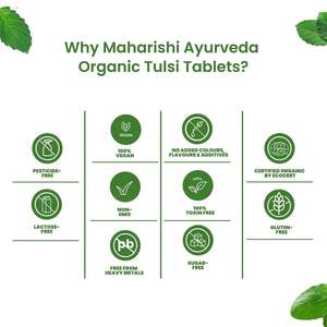 Tabletas de Tulsi orgánicas de la mejor calidad para suplementos nutricionales respiratorios Personalización Etiqueta privada - Product Image 4