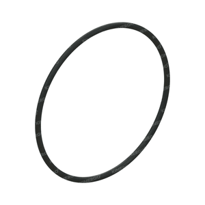 Anillo de Retención ORZF01 para ORZF01 5HP19, Embrague Cativo; 5HP24; 6HP26, 260 mm; 6HP32 - Product Image 1