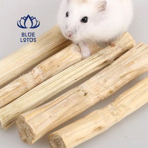 Bâton de canne à sucre séchée en bambou doux pour animal de compagnie, Hamster, souris, jouets à mâcher, nettoyage des dents - Product Image 3