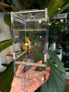 <span class=keywords><strong>Terrarium</strong></span> en acrylique transparent pour <span class=keywords><strong>araignée</strong></span> sauteuse pour tarentule et mante religieuse - Product Image 6