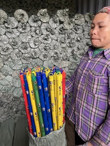 Panda Color Design Wooden Broom Stick with Plastic PVC Broom Head 120X2.2CM Dustpan Mop <b>Cleaner</b> Manufactured by Wood Handle - Product Image 3