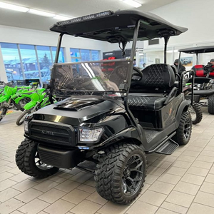 Voiture de golf électrique haut de gamme, prix d'usine, modèle de luxe - Product Image 1