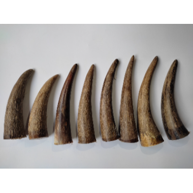 ธรรมชาติ