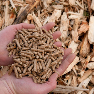 Pellets de arena para gatitos de primera calidad, buena palatabilidad, aglomeración rápida y características desechables - Product Image 1