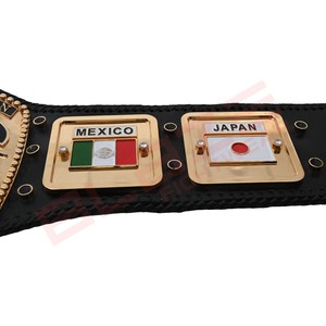 เข็มขัดแชมป์ NWA Authentic Wear รุ่น Commemorative ประดับด้วยหินหลากสี เข็มขัดมวยปล้ำคุณภาพสูง เข็มขัดแชมป์สุดหรู - Product Image 4