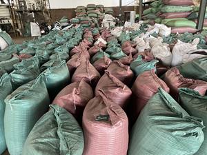 พริกไทยดำแห้งคุณภาพสูง ขนาด 5 มม. 500 กรัม ได้รับการรับรองจาก ASTA แบรนด์ Agrikim จากผู้จัดจำหน่ายที่มีประสบการณ์ +84 399521266 คุณเมีย - Product Image 6