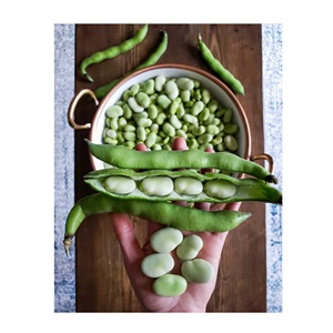 ถั่วกว้างสดแช่แข็งคุณภาพพรีเมี่ยมขายส่ง - Product Image 6