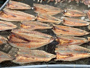 Poisson barracuda séché de qualité pour exportation en vrac à un prix abordable - Product Image 2