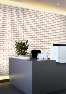 Carreaux de mur extérieur en porcelaine 300x600mm, format long - Product Image 4