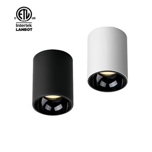 Luminaria LED Cilíndrica de Superficie con Certificación ETL, Alto CRI>90, Color Preciso 2700K-5000K para Tiendas y Galerías - Product Image 1