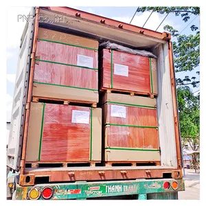 Günstige Bulk erstklassige hochwertige 28mm Keruing Container Sperrholz Bodenplatten von VietNam