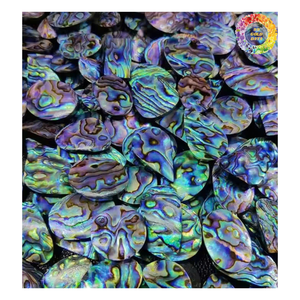Azul Paua brillante pintado Paua abulón Shell Natural madre de círculos de perlas, llantas de concha de abulón pulido, chips de concha de abulón - Product Image 1