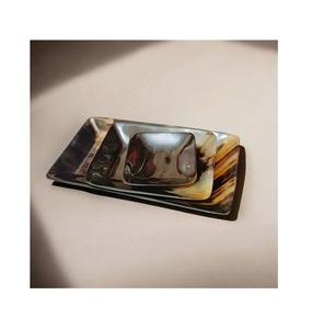 Bandeja de Servicio de Cuerno de Búfalo Natural de Alta Calidad - Product Image 6