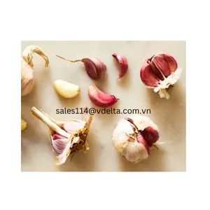 DRIED GARLIC FROM VIETNAM SUPPLIER READY TO EXPORT FOR SPICES