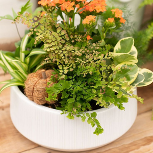 Modern Round Cement Flower Pot <b>Planter</b> with Drainage Hole Indoor Outdoor Garden Patio <b>Planter</b> - Product Image 2