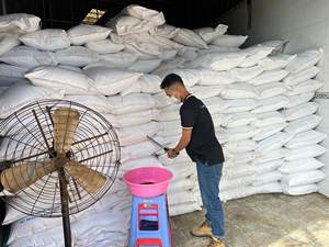 NUEVA COSECHA 2025 - Suministro al por Mayor de PEPERÓN DE PUNTA PINA 1MM 2MM 3MM - Product Image 5