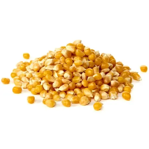 High Quality For SALE Yellow Corn Animal Feed Yellow Corn Price Per Ton Yellow Corn For Animal Feed