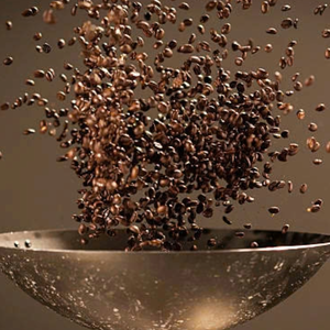 Café Robusta Tostado, Café de Especialidad, Servicio de Procesamiento OEM/ODM Disponible, Servicio de Marca Privada - Product Image 4