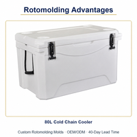Stampo Rotazionale Personalizzato OEM ODM per Contenitore Refrigerante Bianco da 80L, Stampo Rotazionale per Trasporto Alimenti Isolato, Vendita Diretta dalla Fabbrica