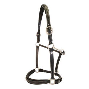 Licol de cheval en cuir de qualité supérieure avec ferrures en laiton et muserolle en corde bicolore, licol équestre réglable - Product Image 3