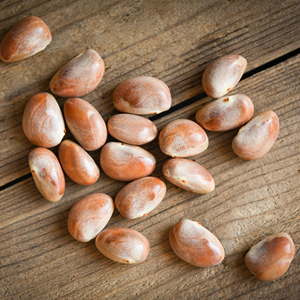 High-quality Jackfruit <b>Nut</b> Rich in Organic Health Care Supplement Organic Jackfruit <b>Nut</b> - Product Image 3