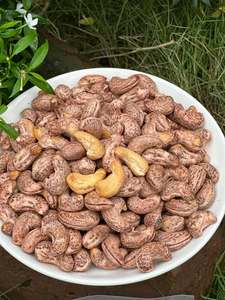 เม็ดมะม่วงหิมพานต์อบแห้งแบบธรรมชาติ | เกรดสูง | สำหรับการคั่วและการผลิตขนมขบเคี้ยว | มีสินค้าให้เลือก - Product Image 3