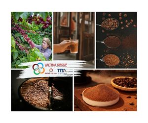 Poudre d'extrait de café Robusta vietnamien de qualité supérieure - Product Image 6