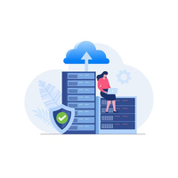 Servicios de administración de bases de datos profesionales Versión OEM compatible con DOS Mac iOS-Aplicación de servidor de venta de software empresarial