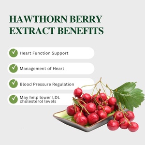 Tự nhiên táo gai chiết xuất <span class=keywords><strong>flavonoid</strong></span> 10%-50% táo gai lá chiết xuất - Product Image 5