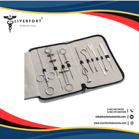 Aiguilles de canules pour tétines en acier inoxydable allemand de qualité supérieure, lot de 10 pièces, étui à fermeture éclair, professionnel, pour bétail, vétérinaire, HÉPATIQUE