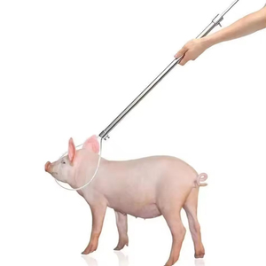 Meilleur vendeur, instrument d'insémination vétérinaire de haute qualité en acier inoxydable, attrape-porc, pour un contrôle efficace des animaux, chien - Product Image 4