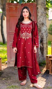 2024 dernières collections d'hiver belles femmes pakistanaises Punjabi Shalwar Kameez et Lehenga Choli vente en gros pour robe d'hiver - Product Image 6