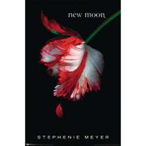 Póster de Estilo Moderno con Diseño de la Portada del Libro New Moon de Twilight, Hecho de Papel para Decoración de Pared - Product Image 1