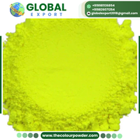 Poudre de couleur néon de haute qualité pour Thanksgiving, biodégradable, imperméable, sans danger pour la peau et les cheveux, longue durée de conservation, Nitro Seal Outdoor