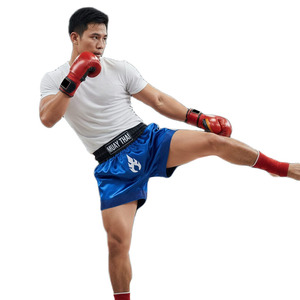 Pantalones Cortos de Muay Thai MMA de Nuevo Estilo, Logotipo Personalizado, Elásticos, Duraderos, de Satén, para Competencia Profesional - Product Image 3