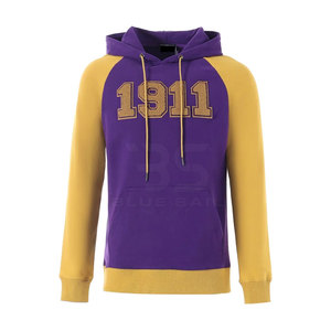 Nouvel arrivage de sweats à capuche brodés pour hommes tissu à séchage rapide tenue décontracté col à capuche motif imprimé solide saison d'hiver prix bon marché - Product Image 1