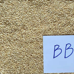 2025เคอร์เนลมะม่วงหิมพานต์ BB โรงงานผลิตจากเวียดนามกระบวนการดิบสินค้าใหม่ - Product Image 1