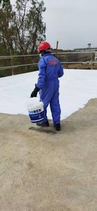 ISONEM MS POLIA Membrana Líquida Acrílica Diseño Moderno Fuerte y Flexible Resistente a los Rayos UV Impermeabilizante para Techos Open Walk Hecho en Turquía 5 - Product Image 5