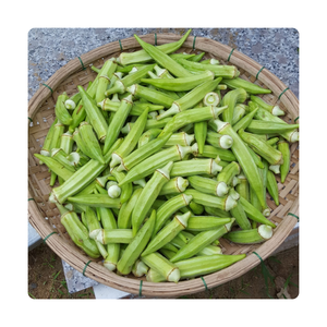 Gombo congelé sain | Origine vietnamienne | Prêt à cuire et parfait pour l'importation - Product Image 2