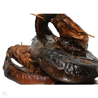 Silure fumé séché disponible dès maintenant en stock avec livraison rapide. Commandez aujourd'hui et profitez d'un poisson fumé de qualité supérieure. Fournisseur de confiance.