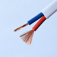 Großhandel RVVB 2x4mm Kupfer-Elektrokabel PVC-Isoliert Stromkabel für Hausheizungsanwendungen