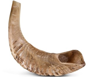 Corne de Shofar corne de bélier poli amour Style matériau organique Instrument de soufflage pour la décoration de mariage en gros Humran Export - Product Image 1