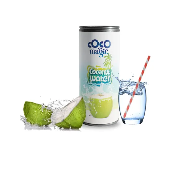 도매 240ml 캔 원래 맛 유기농 코코넛 물 유통 수출 인도에서 만든 최신 OEM 음료