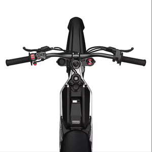 Nouvelle moto tout-terrain authentique x260 avec une autonomie maximale de 74,6 milles et une vitesse maximale de 46,6 mph - Argent, prête pour une livraison mondiale - Product Image 6