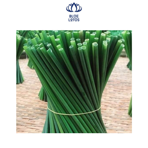 GEM Grass Straws from Vietnam A Zero-waste <b>Aternative</b> to Sustainable Plastic Straws - Product Image 5